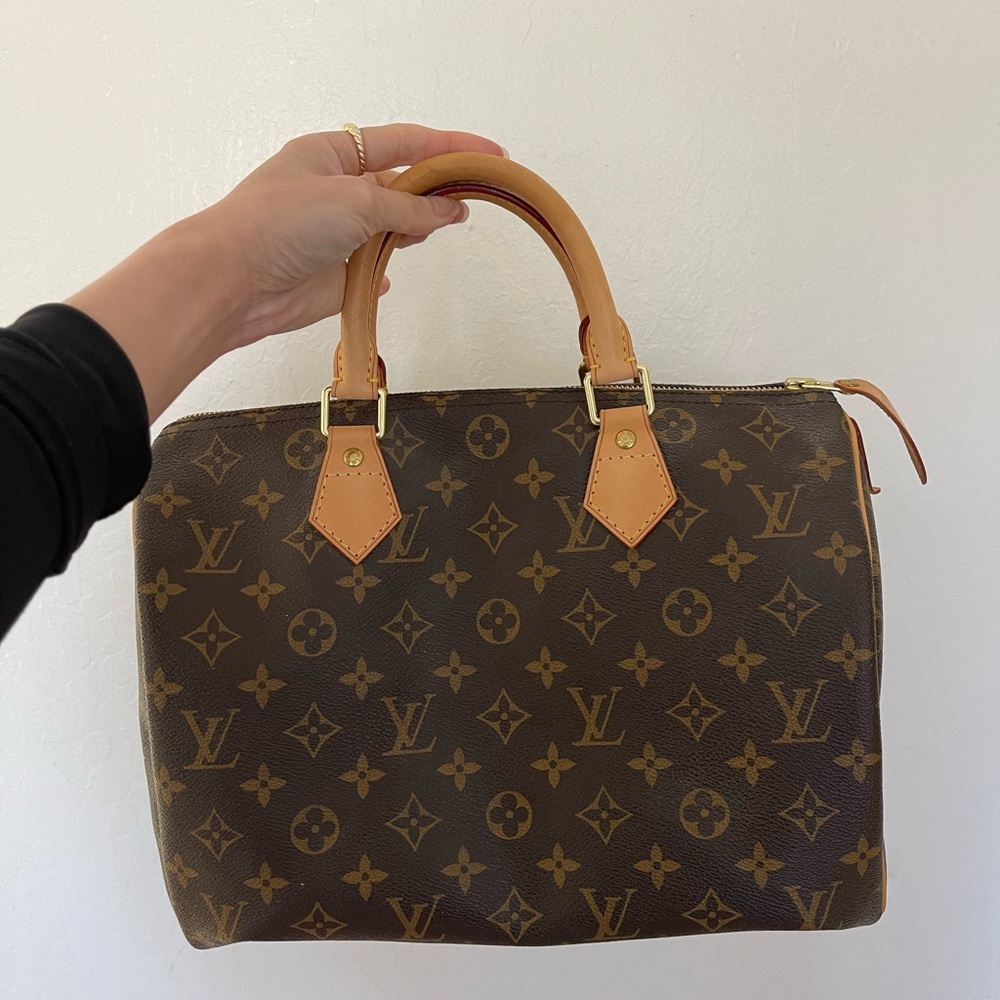 Louis Vuitton Speedy Handbag
